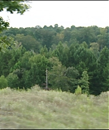 Filename=312.jpg
Filesize=119KiB
Dimensions=1920x808
Date added=Jan 28, 2021 312.jpg