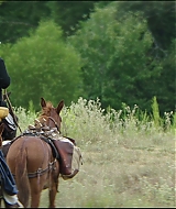 Filename=328.jpg
Filesize=138KiB
Dimensions=1920x808
Date added=Jan 28, 2021 328.jpg