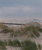 Filename=l619.jpg
Filesize=688KiB
Dimensions=1920x816
Date added=Sep 14, 2022 l619.jpg