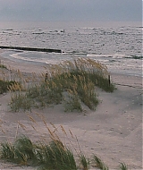Filename=l626.jpg
Filesize=750KiB
Dimensions=1920x816
Date added=Sep 14, 2022 l626.jpg